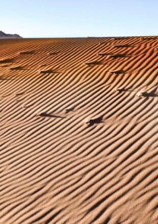 Photography - Manick Bhan