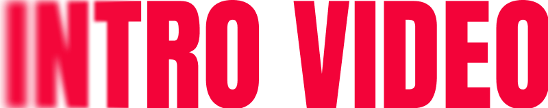 Manick Bhan presenting the brand kit for business branding.